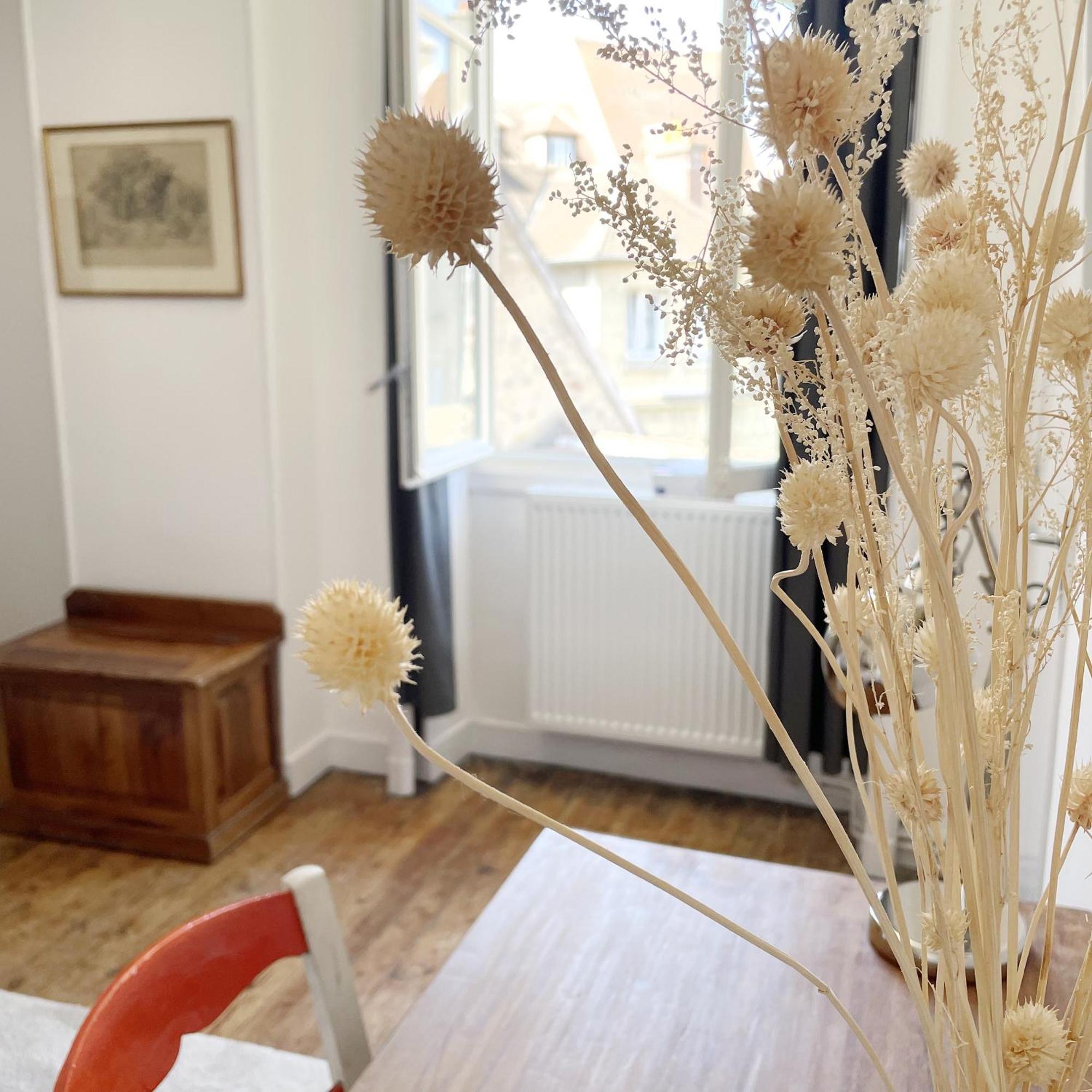 Appartements 4 Vents By La Boite En Plus 桑利斯 外观 照片